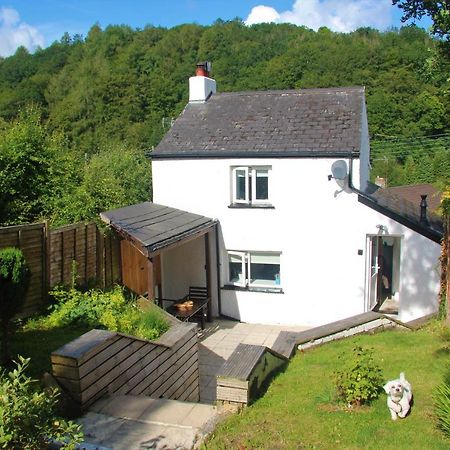 Peacock Cottage Cinderford Екстер'єр фото