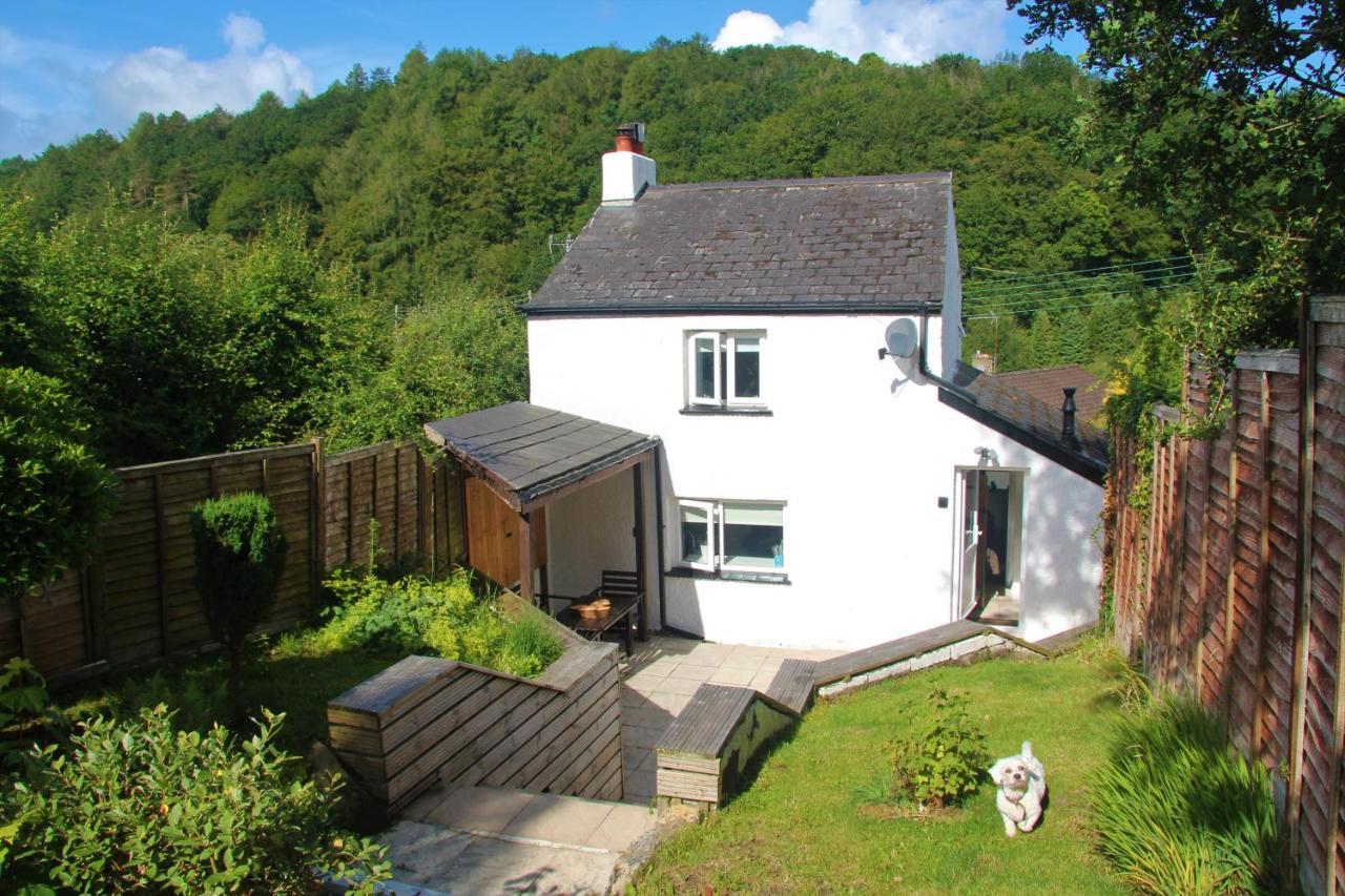 Peacock Cottage Cinderford Екстер'єр фото